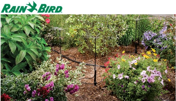 Автополив Rain Bird в Киеве